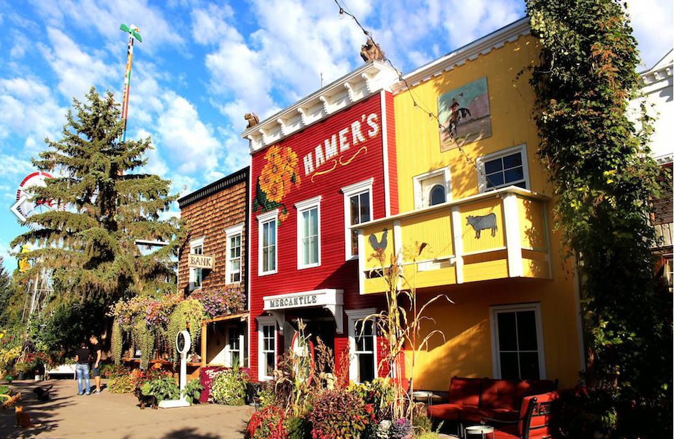 Saskatoon Berry Farm